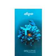 DYO BOYA DIŞ CEPHE RENK KARTELASI