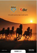 DEKOR-HASSAN OCAK 2025 FİYAT LİSTESİ